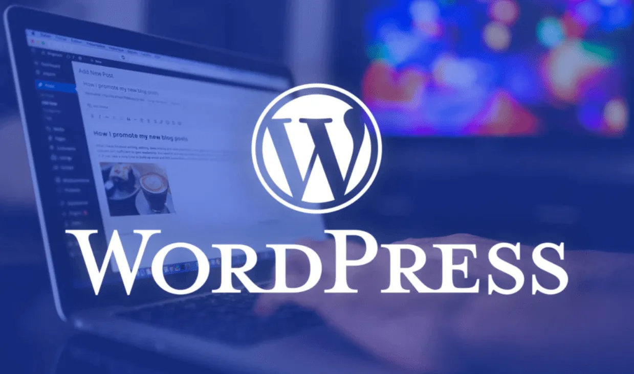WordPress Software gestionale e e-commerce di abbigliamento e scarpe