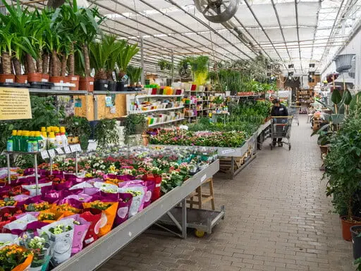 Software gestionale per il garden center