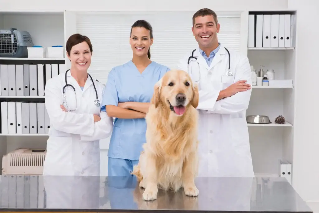 Software per farmacie veterinarie (1)