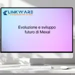 Img evoluzione e sviluppo futuro di mexal