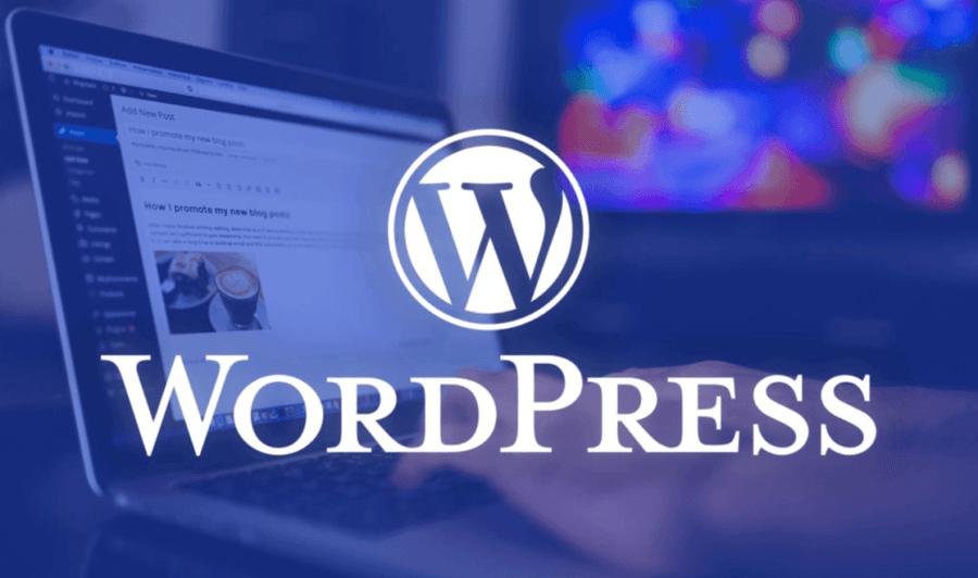 WordPress Software gestionale e e-commerce di abbigliamento e scarpe