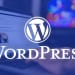 WordPress Software gestionale e e-commerce di abbigliamento e scarpe